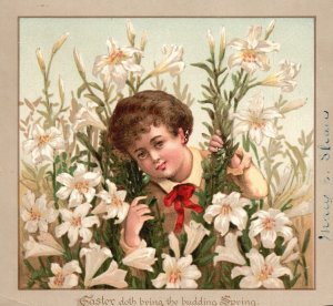 1880s-90s Young Boy among White Flowers Easter Budding Spring Trade Card