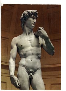 Sculpture, David, Michelangelo, Gallery of Florence, Italy, Used 1973