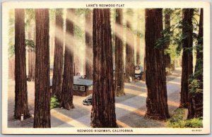 Lanes Redwood Flat Redwood Highway California CA Forest Giant Trees Postcard
