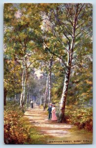 Budby Nottinghamshire Postcard Sherwood Forest Budby Path c1910 Oilette Tuck Art