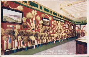 Great Northern Railway Exhibition Rooms Unused Advertising Postcard H40