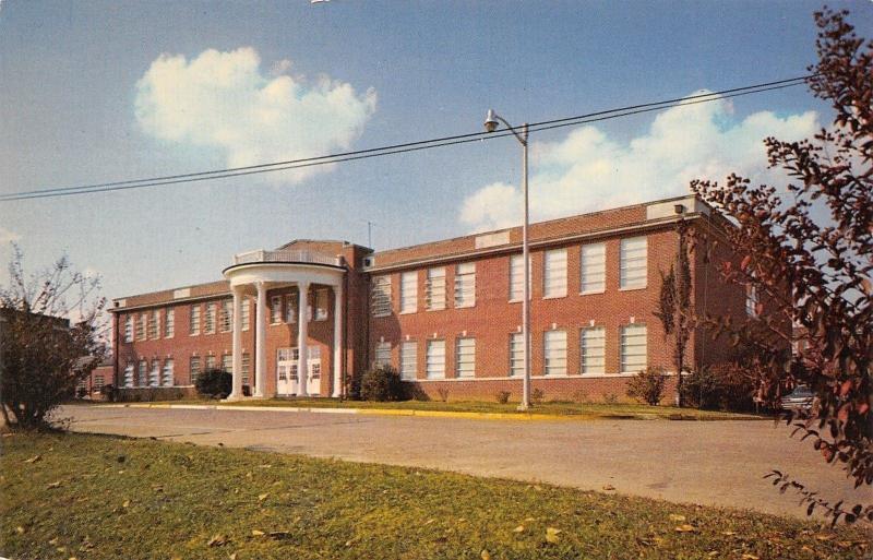 Raymond MI Hinds Junior College~Admin Building 1950s Postcard