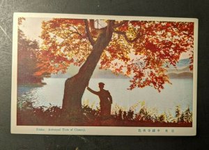 Mint Vintage Autumnal Tints of Chuzenji Nikko Japan RPPC Postcard