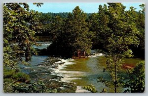 Arkansas  Spring River  Mammoth Spring  Postcard