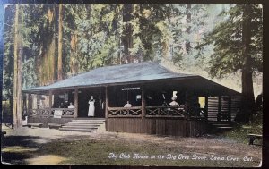 Vintage Postcard 1907-1915 Big Tree Grove, Club House, Santa Cruz, California CA