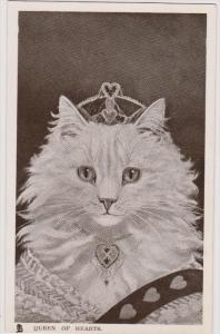LP86    Cats, Kittens,  vintage postcard, Pub Tuck