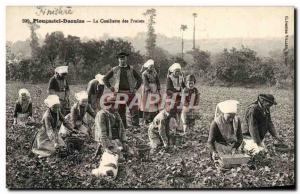 Old Postcard Plougastel Daoulas Picking Strawberries A TOP