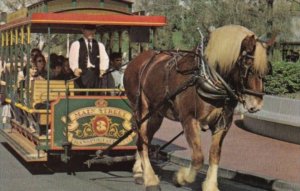 Walt Disney World Horse Drawn Streetcar