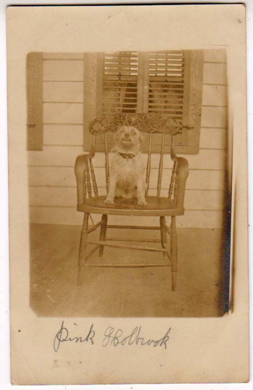 RPPC, Dog Sitting in Chair