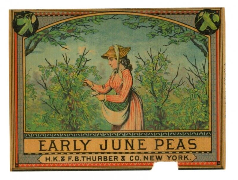 1870s-80s Thurber Can Label Early June Peas #6M