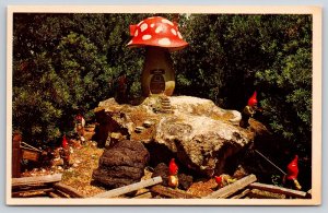 Tampa Florida~Busch Brewery Gardens~Dwarf Village Leprechaun Lane~1950s Postcard
