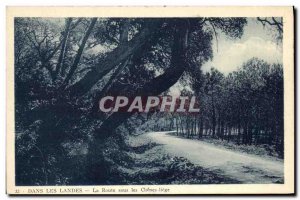 Old Postcard On The Road Landes under Chenes liege