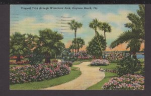 Florida Daytona Beach - Tropical Trail through Waterfront Park pm1954 - Linen