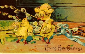 Greeting - Easter. Chicks
