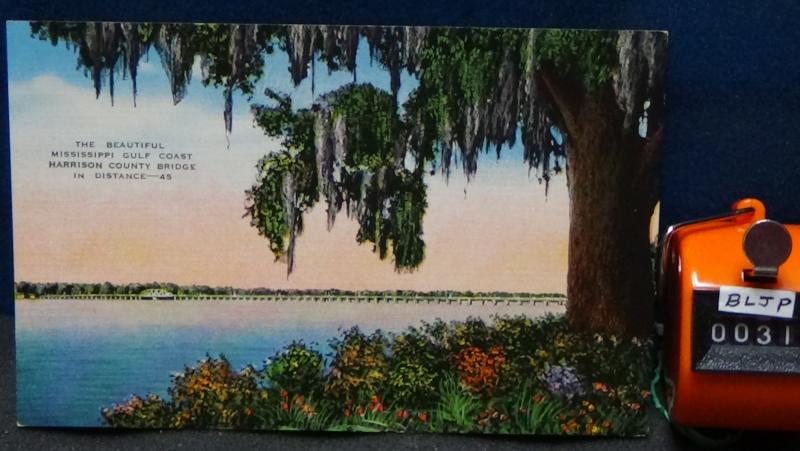 STD Vintage Mississippi Gulf Coast Harrison County Bridge Biloxi MS Unposted