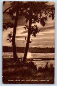 1941 Tamiment Pennsylvania Vintage Postcard Sunset Lake Camp Scenic View Artvue