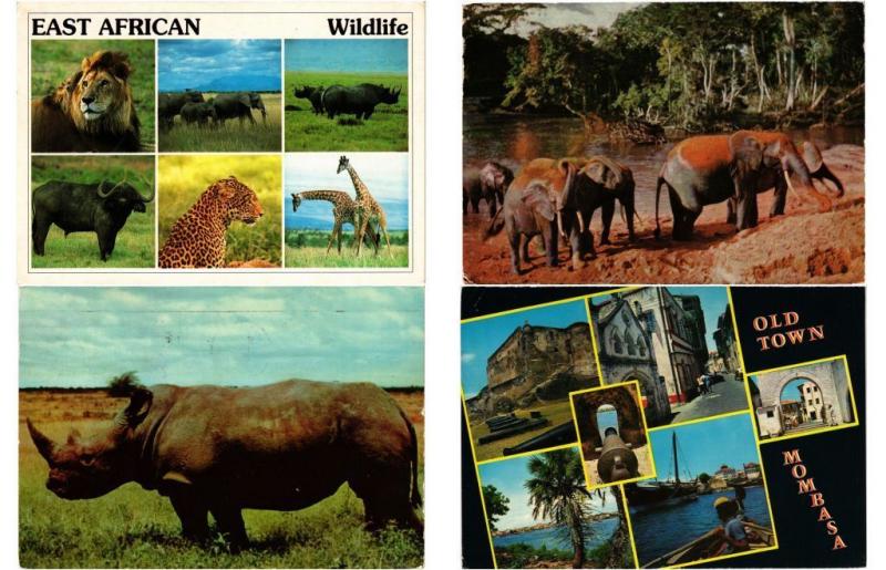 KENYA 96 AFRIQUE AFRICA Postcards CPM Mostly 1950-1990 (L3287)