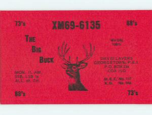 Deer - QSL HAM RADIO CARD Georgetown Prince Edward Island PE Canada t1221