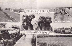 St Marys Bay Kent Holiday Camp Dogs Real Photo Old Postcard