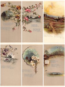Moon and Sun Moonlight Roses Flowers Nature lot of 6 postcards C348