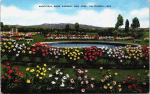 USA California San Jose Municipal Rose Garden Vintage Postcard C164