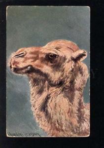 3032387 Head of CAMEL sign DONADINI Vintage PC