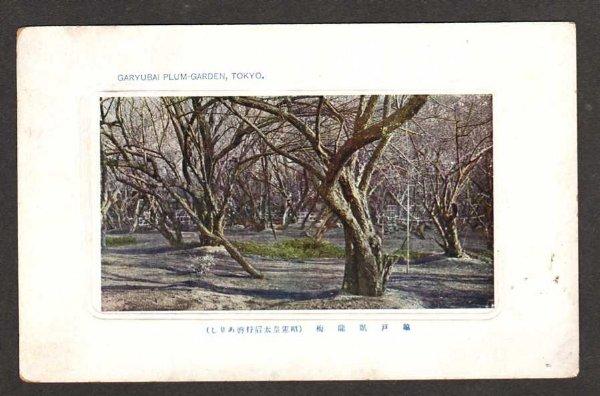 View of GARYUBAI Plum Garden TOKYO JAPAN Postcard PC