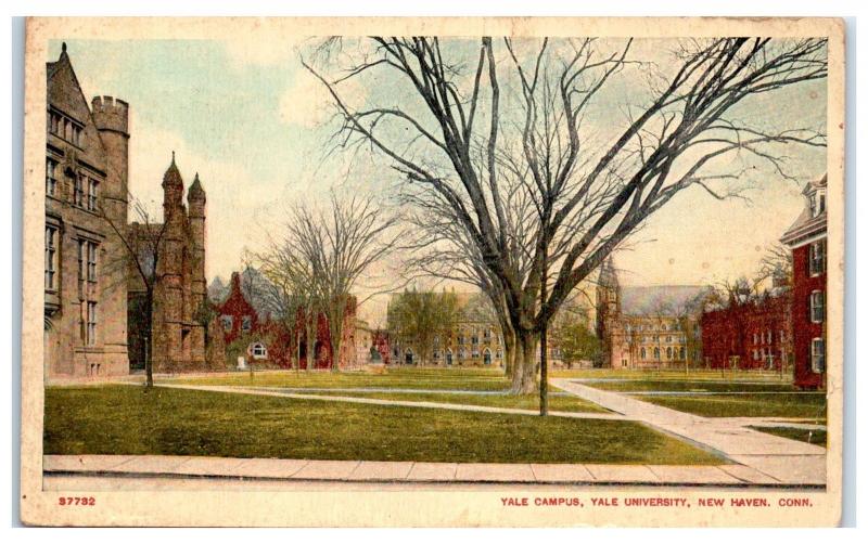 1932 Yale University Campus, New Haven, CT Postcard