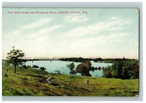 c. 1907-15 Postcard Rail Road Bridge & Wisconsin River Grand Rapids Grazing Cows 