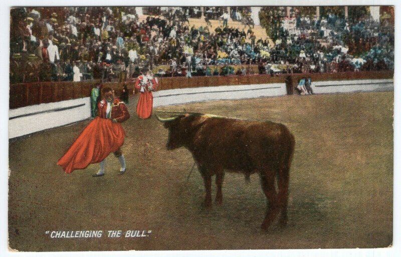 Challenging The Bull