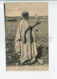 482639 Arabian hunter with a falcon Vintage postcard