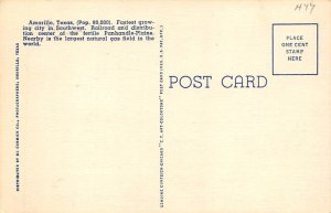 Skyline - Amarillo, Texas TX