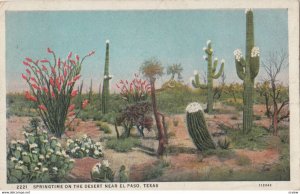 EL PASO , Texas , 1932 ; Springtime on the desert