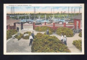 TARPON SPRINGS FLORIDA SPONGES SPONGE FISHING BOATS ANTQIUE VINTAGE POSTCARD