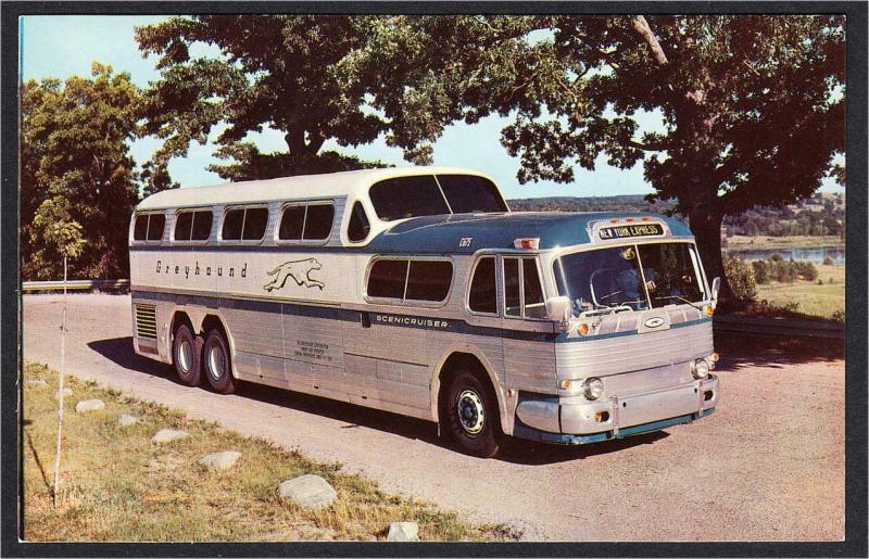 Advertising Postcard for Greyhound Bus Scenicruiser New York Express 1950s-1960s