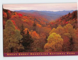 Postcard Autumn at Newfound Gap, Great Smoky Mountains National Park