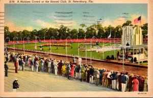 Florida St Petersburg Dog Racing A Matinee Crowd At The Kennel Club 1939 Curt...