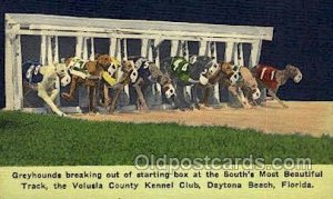 Volusia Kennel Club, Daytona Beach, FL USA Dog Racing, Unused 
