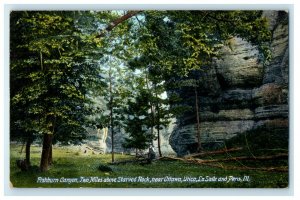 c1910s Ashburn Canyon Two Miles Above Starved Rock Illinois IL Unposted Postcard