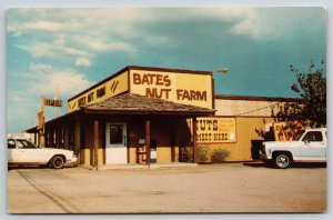 Mesa Arizona~Bates Nut Farm Store Parking Lot Scene~Publ Russell Mead~Vintage PC