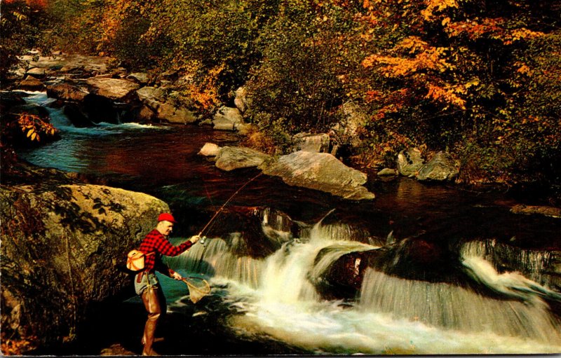 Fishing Trout Fishing Greetings From The University Of Massachusetts