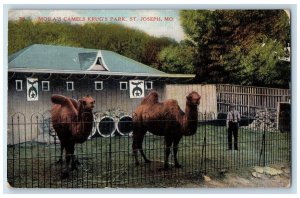 c1950 Moila's Camel Krug's Park Animals Viewing St. Joseph Missouri MO Postcard