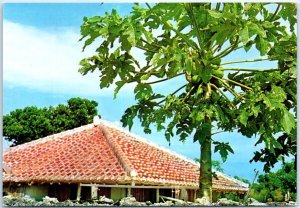 Postcard - Roof and Papayas - Okinawa, Japan