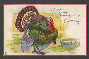 POST CARD THANKSGIVING GREETING W/TURKEY EMBOSSED MINT