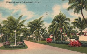 Vintage Postcard 1954 Parkway Pathway Palm Trees at Golden Beach Florida FL