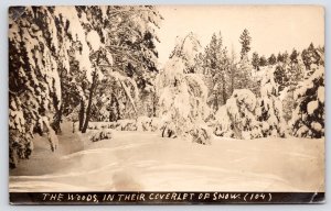 Yosemite~Woods in Their Coverlet of Snow~RPPC Village Studio /HC Trowbridge 1910
