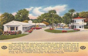 Postcard Palms Motor Court St Augustine Florida