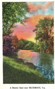 Vintage Postcard 1936 Eyesight Beauty Spot Near Bluemont Virginia Nyce Quality