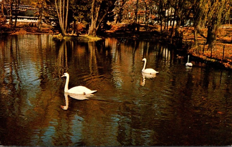 Indiana Winona Lake Swans On Parade Winona Lake Christian Assembly 1962