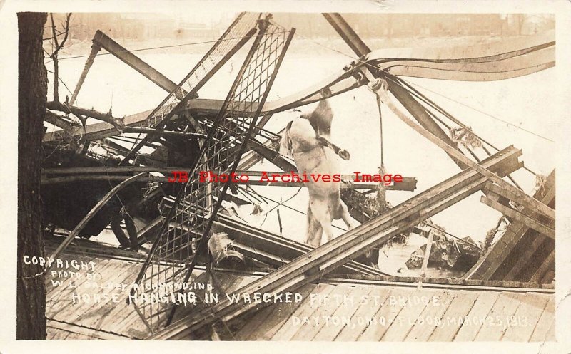 OH, Dayton, Ohio, RPPC, 1913 Flood, Fifth Street Bridge Wreck with Horse Hanging